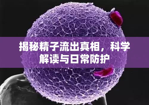 揭秘精子流出真相，科學解讀與日常防護