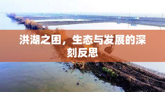 洪湖之困，生態(tài)與發(fā)展的深刻反思