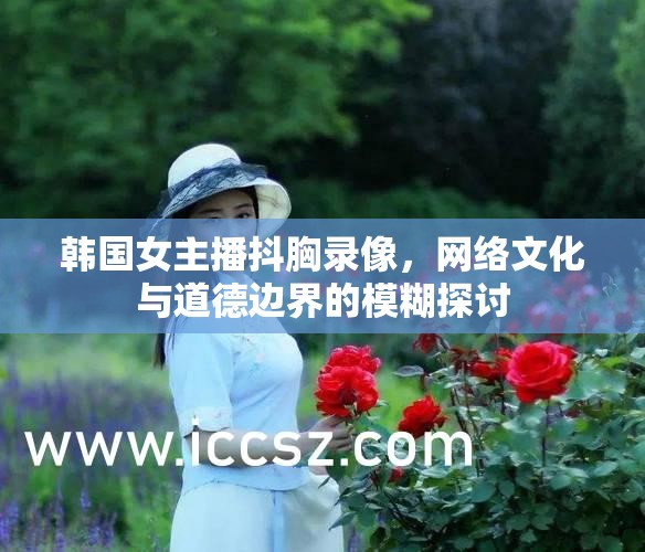 韓國女主播抖胸錄像，網(wǎng)絡文化與道德邊界的模糊探討