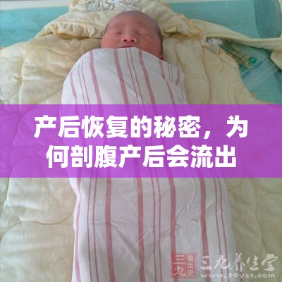 產后恢復的秘密，為何剖腹產后會流出黃色液體？