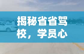 揭秘省省駕校，學(xué)員心聲與真相