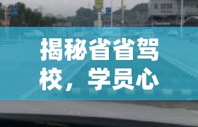 揭秘省省駕校，學(xué)員心聲與真相