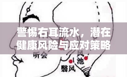 警惕右耳流水，潛在健康風(fēng)險與應(yīng)對策略