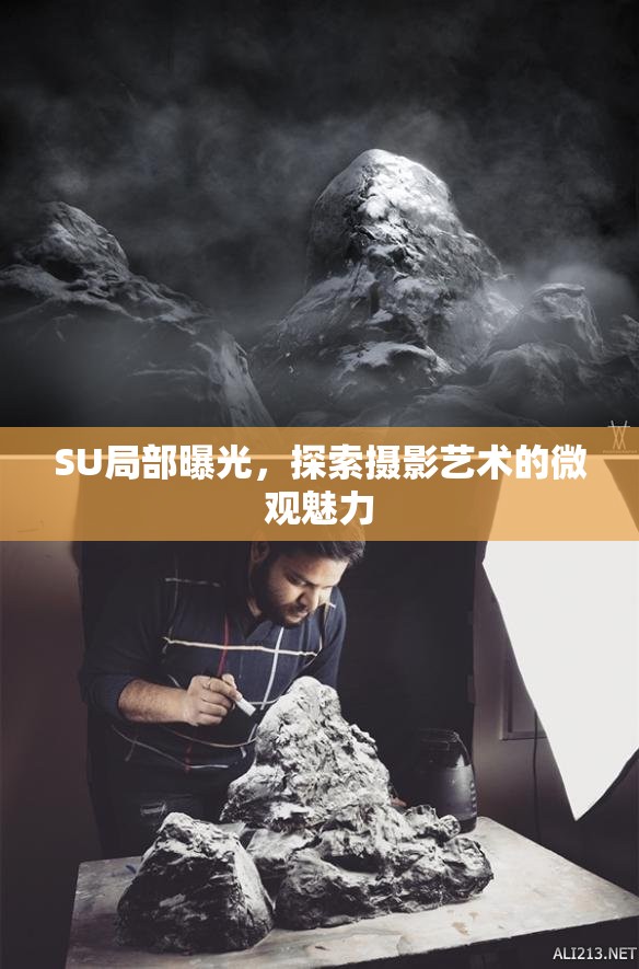 SU局部曝光，探索攝影藝術(shù)的微觀魅力