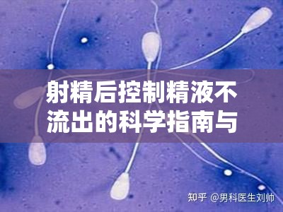 射精后控制精液不流出的科學(xué)指南與實用技巧