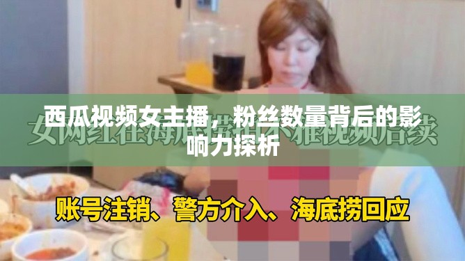 西瓜視頻女主播，粉絲數(shù)量背后的影響力探析