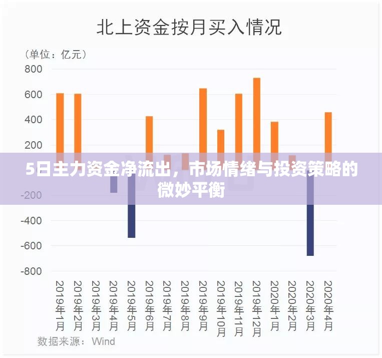 5日主力資金凈流出，市場情緒與投資策略的微妙平衡