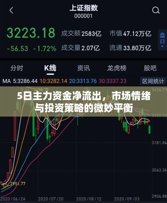 5日主力資金凈流出，市場情緒與投資策略的微妙平衡