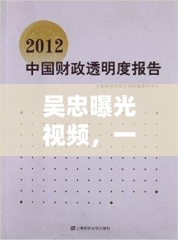 吳忠曝光視頻，一場關(guān)于透明與反思的公共討論