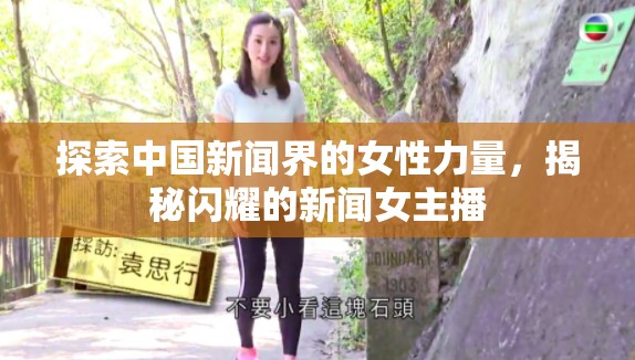 探索中國新聞界的女性力量，揭秘閃耀的新聞女主播