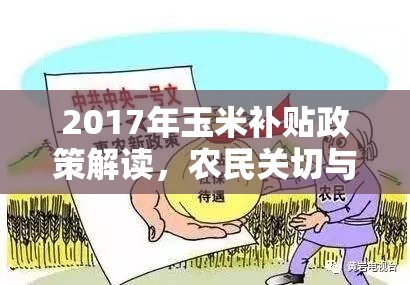 2017年玉米補(bǔ)貼政策解讀，農(nóng)民關(guān)切與政策解讀