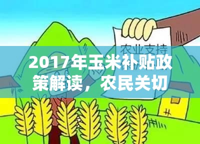 2017年玉米補(bǔ)貼政策解讀，農(nóng)民關(guān)切與政策解讀