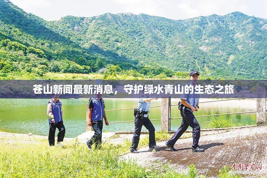 蒼山新聞最新消息，守護綠水青山的生態(tài)之旅