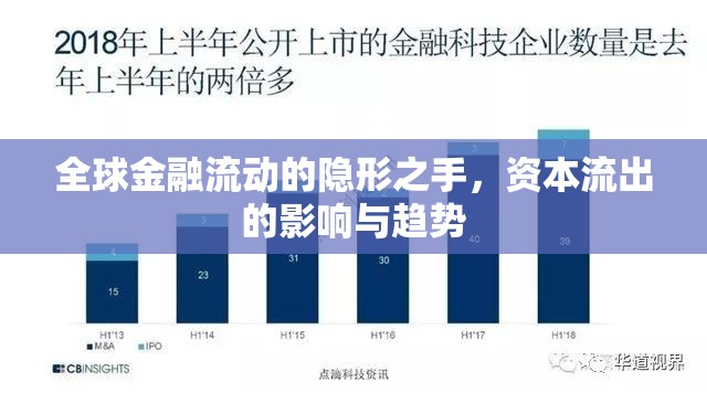 全球金融流動(dòng)的隱形之手，資本流出的影響與趨勢(shì)