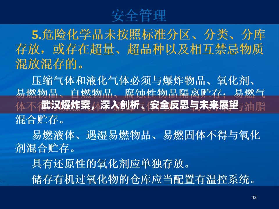 武漢爆炸案，深入剖析、安全反思與未來展望