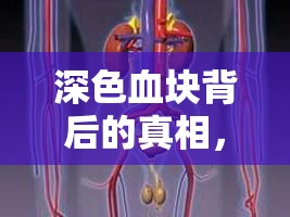 深色血塊背后的真相，健康警報(bào)與日常護(hù)理指南