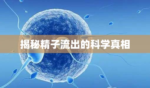 揭秘精子流出的科學(xué)真相