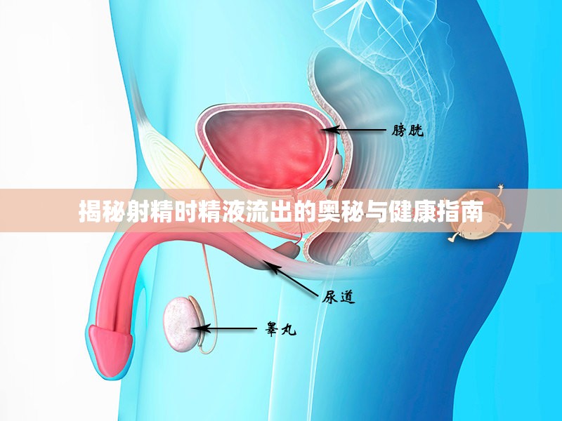 揭秘射精時精液流出的奧秘與健康指南