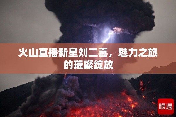 火山直播新星劉二喜，魅力之旅的璀璨綻放