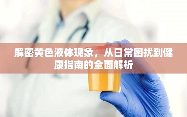 解密黃色液體現(xiàn)象，從日常困擾到健康指南的全面解析