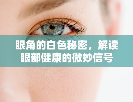 眼角的白色秘密，解讀眼部健康的微妙信號