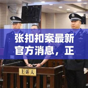 張扣扣案最新官方消息，正義的遲來與法治的堅(jiān)守