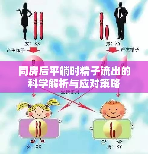 同房后平躺時精子流出的科學解析與應對策略