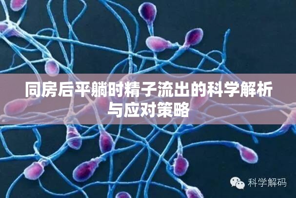 同房后平躺時精子流出的科學解析與應對策略