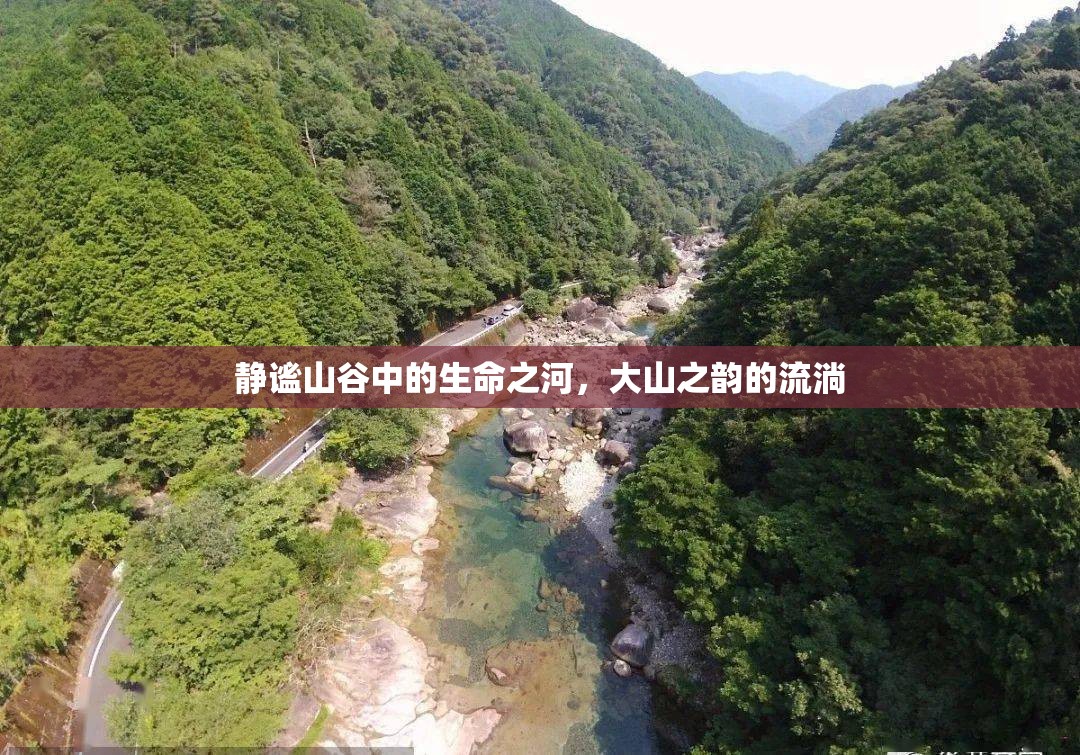 靜謐山谷中的生命之河，大山之韻的流淌