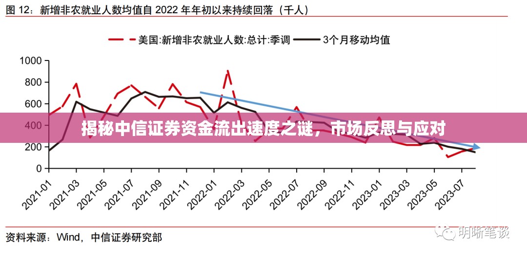 揭秘中信證券資金流出速度之謎，市場反思與應(yīng)對