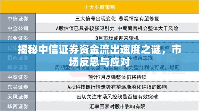 揭秘中信證券資金流出速度之謎，市場反思與應(yīng)對