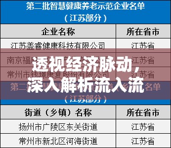 透視經濟脈動，深入解析流入流出比例圖表