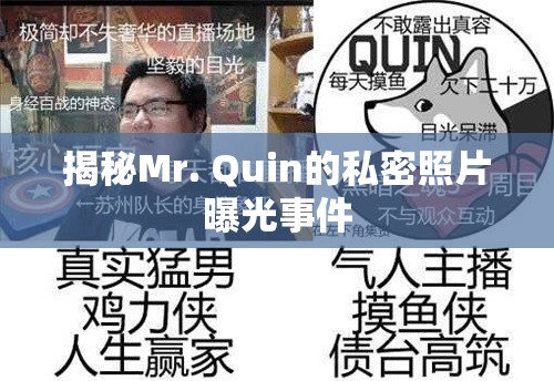 揭秘Mr. Quin的私密照片曝光事件