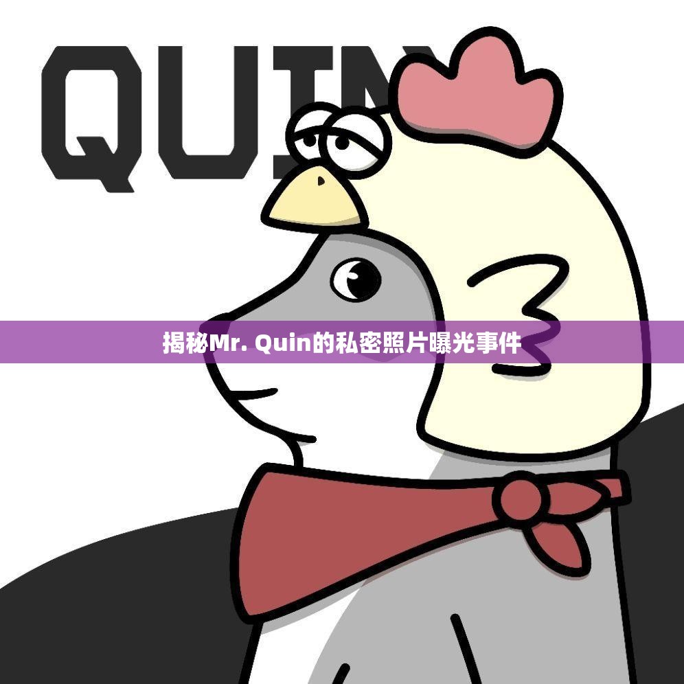 揭秘Mr. Quin的私密照片曝光事件