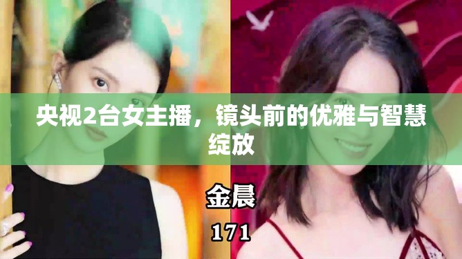 央視2臺女主播，鏡頭前的優(yōu)雅與智慧綻放