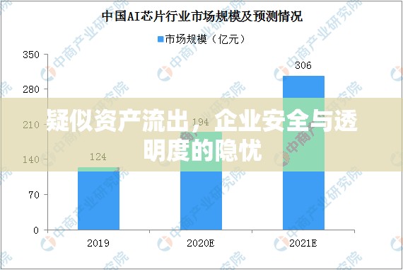 疑似資產(chǎn)流出，企業(yè)安全與透明度的隱憂