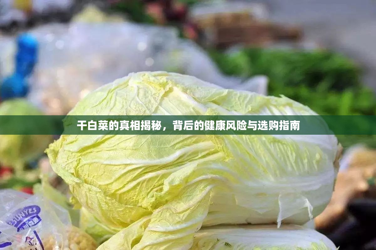 干白菜的真相揭秘，背后的健康風(fēng)險(xiǎn)與選購指南