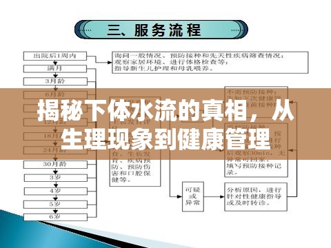 揭秘下體水流的真相，從生理現(xiàn)象到健康管理