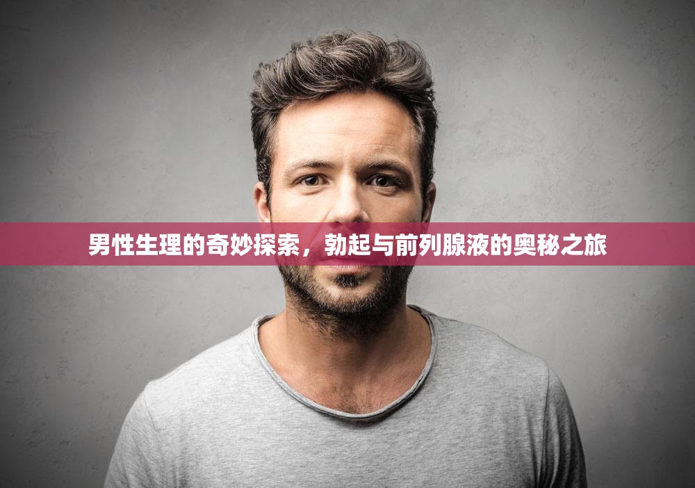 男性生理的奇妙探索，勃起與前列腺液的奧秘之旅