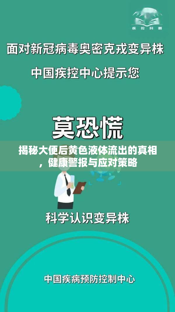 揭秘大便后黃色液體流出的真相，健康警報與應(yīng)對策略