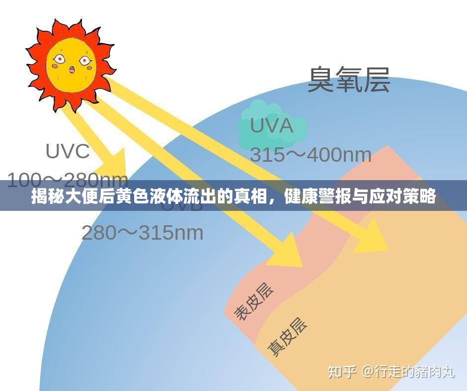 揭秘大便后黃色液體流出的真相，健康警報(bào)與應(yīng)對(duì)策略