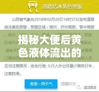 揭秘大便后黃色液體流出的真相，健康警報與應(yīng)對策略