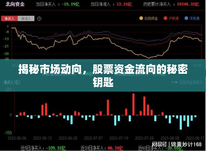揭秘市場(chǎng)動(dòng)向，股票資金流向的秘密鑰匙