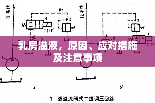 乳房溢液，原因、應(yīng)對措施及注意事項