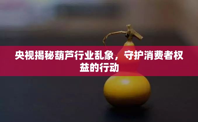 央視揭秘葫蘆行業(yè)亂象，守護消費者權(quán)益的行動