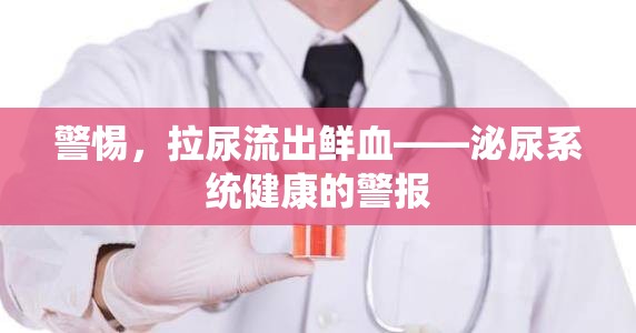 警惕，拉尿流出鮮血——泌尿系統(tǒng)健康的警報(bào)