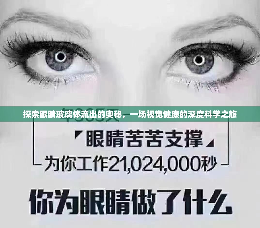 探索眼睛玻璃體流出的奧秘，一場視覺健康的深度科學之旅