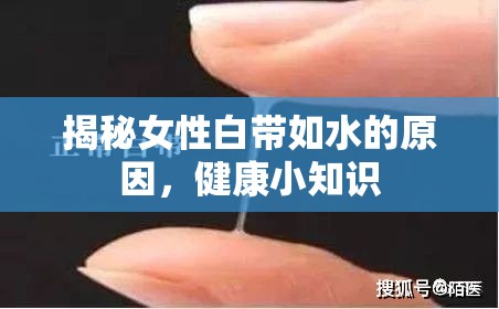 揭秘女性白帶如水的原因，健康小知識