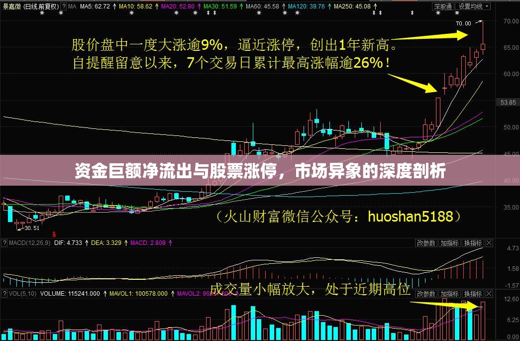 資金巨額凈流出與股票漲停，市場(chǎng)異象的深度剖析