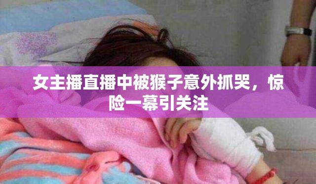 女主播直播中被猴子意外抓哭，驚險一幕引關(guān)注